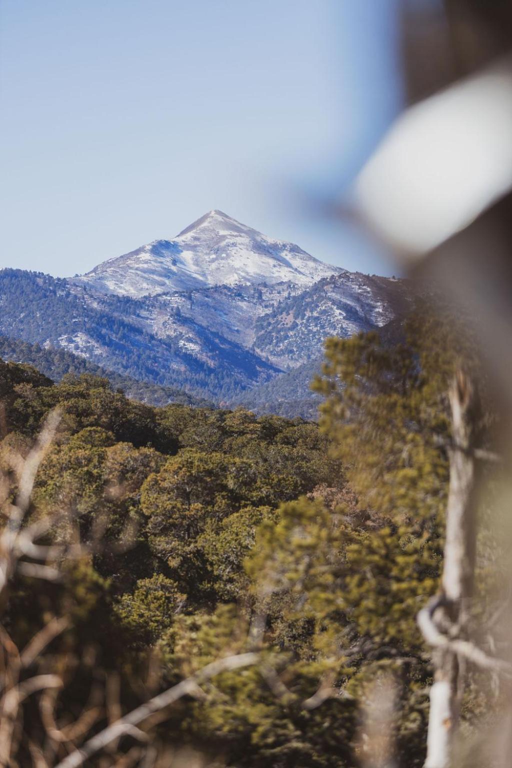 Nogal Zia Geo Dome At El Mistico Ranch, Glamping 빌라 외부 사진
